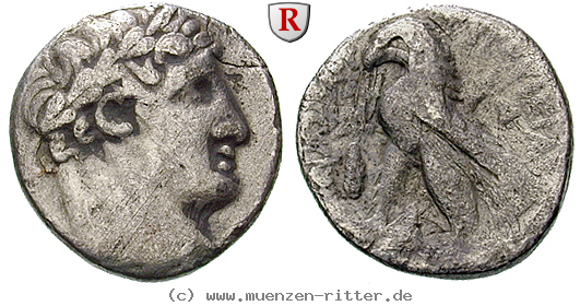Klicken Sie auf das Bild um es auf Ihrem Rechner zu speichern phoenizien-1-2-schekel/egri6676.jpg