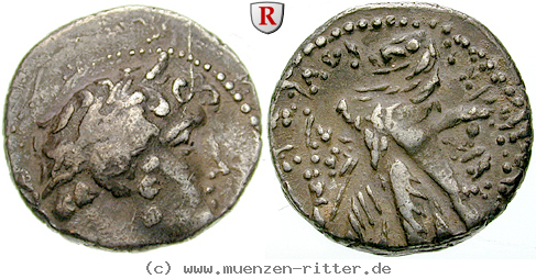 phoenizien-1-2-schekel/egri8026.jpg