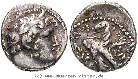 Klicken Sie auf das Bild um es auf Ihrem Rechner zu speichern phoenizien-1-2-schekel/egri8027.jpg
