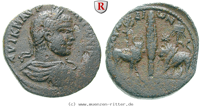 Klicken Sie auf das Bild um es auf Ihrem Rechner zu speichern phoenizien-caracalla-bronze/67426.jpg