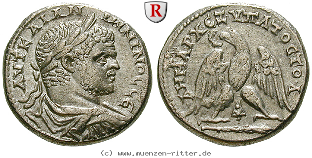 Klicken Sie auf das Bild um es auf Ihrem Rechner zu speichern phoenizien-caracalla-tetradrachme/103574.jpg