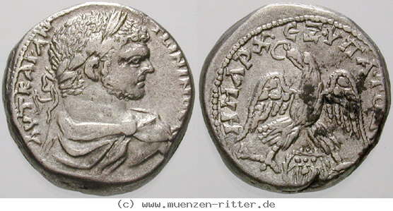 Klicken Sie auf das Bild um es auf Ihrem Rechner zu speichern phoenizien-caracalla-tetradrachme/erom9953.jpg