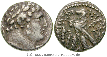 Klicken Sie auf das Bild um es auf Ihrem Rechner zu speichern phoenizien-didrachme/egri8024.jpg