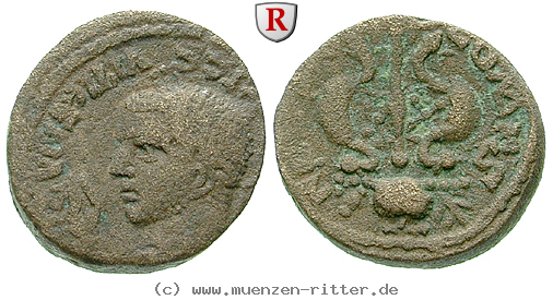 Klicken Sie auf das Bild um es auf Ihrem Rechner zu speichern phoenizien-severus-alexander-bronze/erom5613.jpg