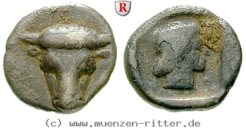 Klicken Sie auf das Bild um es auf Ihrem Rechner zu speichern phokis-triobol/egri7155.jpg