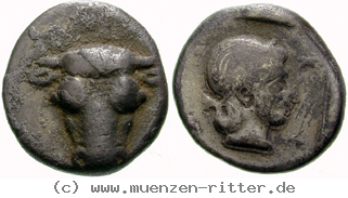 Klicken Sie auf das Bild um es auf Ihrem Rechner zu speichern phokis-triobol/egri7156.jpg