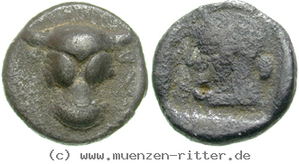 Klicken Sie auf das Bild um es auf Ihrem Rechner zu speichern phokis-triobol/egri7160.jpg