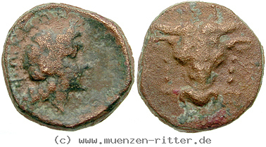 Klicken Sie auf das Bild um es auf Ihrem Rechner zu speichern phokis/egri6624.jpg