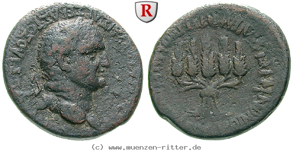 Klicken Sie auf das Bild um es auf Ihrem Rechner zu speichern phrygien-vespasianus-bronze/61453.jpg