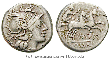 Klicken Sie auf das Bild um es auf Ihrem Rechner zu speichern pinarius-natta-denar/43019.jpg