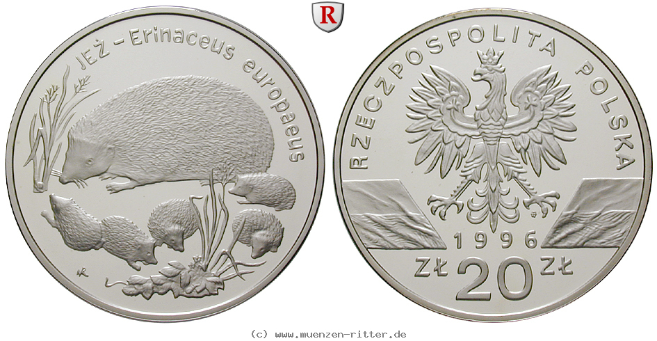 Klicken Sie auf das Bild um es auf Ihrem Rechner zu speichern polen-3-republik-20-zlotych/59302.jpg