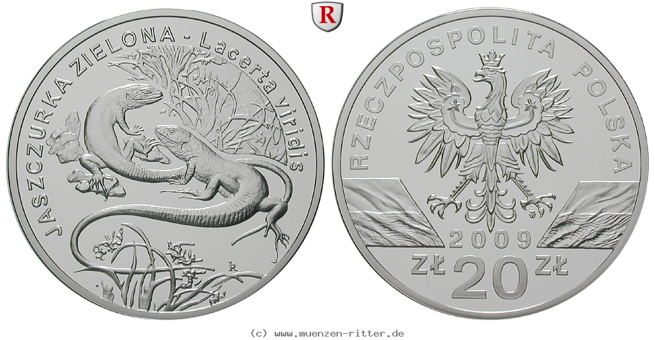 Klicken Sie auf das Bild um es auf Ihrem Rechner zu speichern polen-3-republik-20-zlotych/75066.jpg