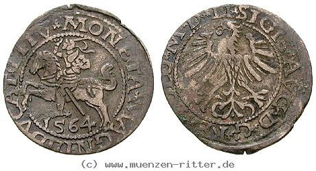 polen-sigismund-august-halbgroschen/11996.jpg