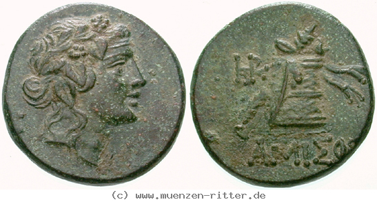 Klicken Sie auf das Bild um es auf Ihrem Rechner zu speichern pontos-bronze/egri10593.jpg