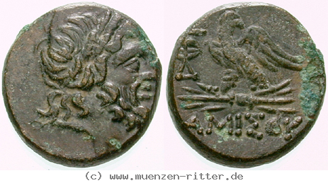 Klicken Sie auf das Bild um es auf Ihrem Rechner zu speichern pontos-bronze/egri10599.jpg