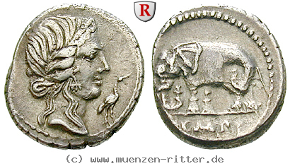 Klicken Sie auf das Bild um es auf Ihrem Rechner zu speichern q-caecilius-metellus-denar/30987.jpg