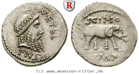 Klicken Sie auf das Bild um es auf Ihrem Rechner zu speichern q-caecilius-metellus-denar/39953.jpg