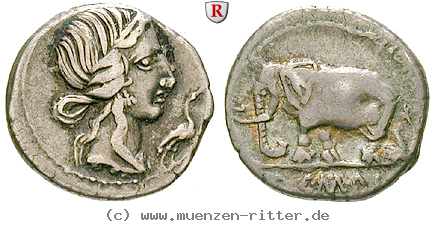 Klicken Sie auf das Bild um es auf Ihrem Rechner zu speichern q-caecilius-metellus-denar/48361.jpg