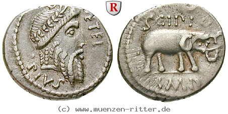 Klicken Sie auf das Bild um es auf Ihrem Rechner zu speichern q-caecilius-metellus-denar/55627.jpg
