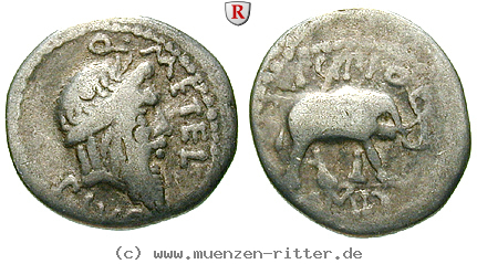 q-caecilius-metellus-denar/72756.jpg
