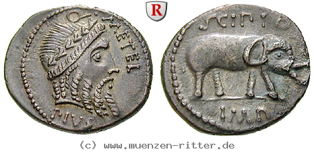 Klicken Sie auf das Bild um es auf Ihrem Rechner zu speichern q-caecilius-metellus-denar/77601.jpg