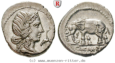 Klicken Sie auf das Bild um es auf Ihrem Rechner zu speichern q-caecilius-metellus-denar/79395.jpg