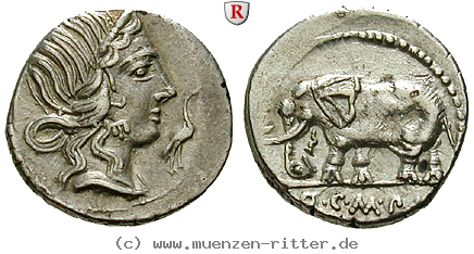 Klicken Sie auf das Bild um es auf Ihrem Rechner zu speichern q-caecilius-metellus-denar/84008.jpg