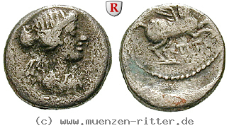 Klicken Sie auf das Bild um es auf Ihrem Rechner zu speichern q-titius-quinar/38486.jpg