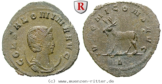 Klicken Sie auf das Bild um es auf Ihrem Rechner zu speichern salonina-frau-des-gallienus-antoninian/39701.jpg
