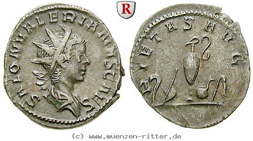 Klicken Sie auf das Bild um es auf Ihrem Rechner zu speichern saloninus-caesar-antoninian/47816.jpg