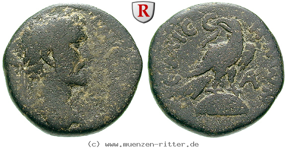 Klicken Sie auf das Bild um es auf Ihrem Rechner zu speichern seleukis-und-pieria-antoninus-pius-bronze/64945.jpg