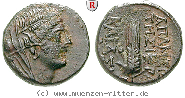 Klicken Sie auf das Bild um es auf Ihrem Rechner zu speichern seleukis-und-pieria-bronze/13638.jpg