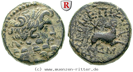 seleukis-und-pieria-bronze/24440.jpg