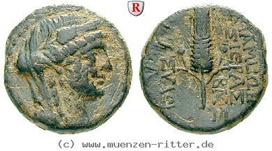 Klicken Sie auf das Bild um es auf Ihrem Rechner zu speichern seleukis-und-pieria-bronze/egri7428.jpg