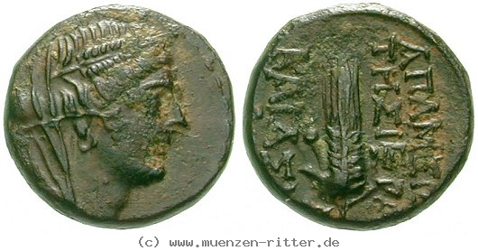 Klicken Sie auf das Bild um es auf Ihrem Rechner zu speichern seleukis-und-pieria-bronze/egri7435.jpg