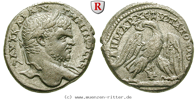 seleukis-und-pieria-caracalla-tetradrachme/54186.jpg