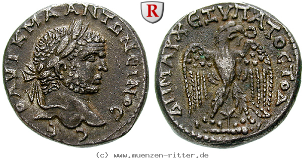 Klicken Sie auf das Bild um es auf Ihrem Rechner zu speichern seleukis-und-pieria-caracalla-tetradrachme/62091.jpg