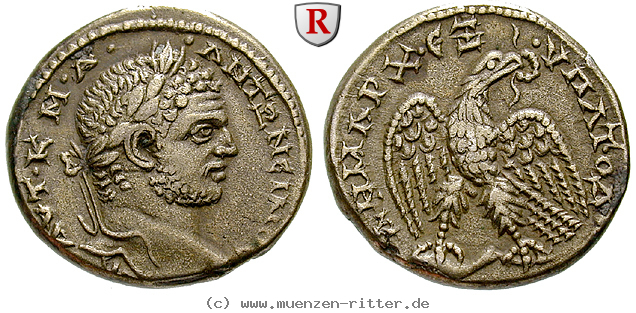 Klicken Sie auf das Bild um es auf Ihrem Rechner zu speichern seleukis-und-pieria-caracalla-tetradrachme/96688.jpg