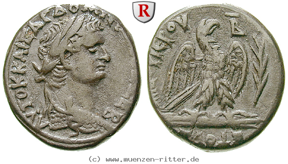 Klicken Sie auf das Bild um es auf Ihrem Rechner zu speichern seleukis-und-pieria-domitianus-tetradrachme/32364.jpg