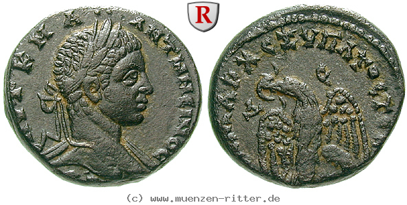 Klicken Sie auf das Bild um es auf Ihrem Rechner zu speichern seleukis-und-pieria-elagabal-tetradrachme/64914.jpg