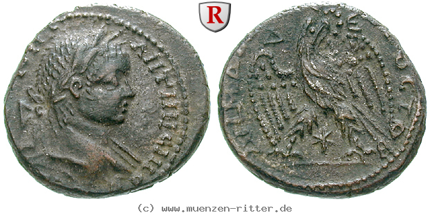 Klicken Sie auf das Bild um es auf Ihrem Rechner zu speichern seleukis-und-pieria-elagabal-tetradrachme/64917.jpg
