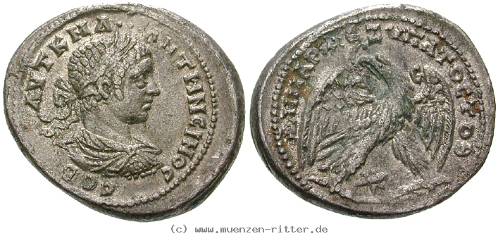 Klicken Sie auf das Bild um es auf Ihrem Rechner zu speichern seleukis-und-pieria-elagabal-tetradrachme/erom8312.jpg