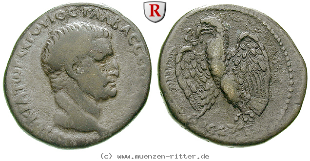 Klicken Sie auf das Bild um es auf Ihrem Rechner zu speichern seleukis-und-pieria-galba-tetradrachme/55096.jpg