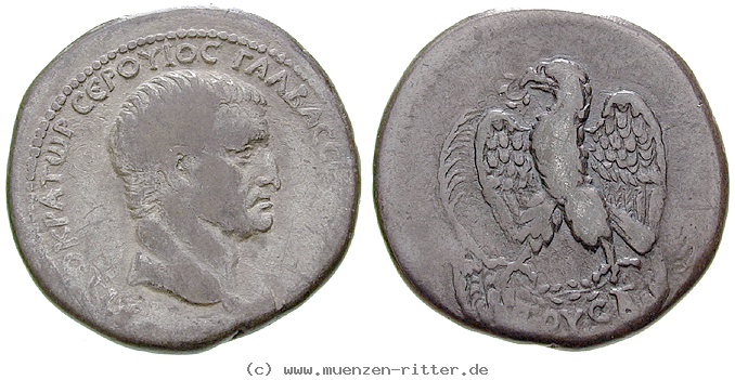 Klicken Sie auf das Bild um es auf Ihrem Rechner zu speichern seleukis-und-pieria-galba-tetradrachme/erom4685.jpg