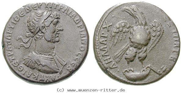 Klicken Sie auf das Bild um es auf Ihrem Rechner zu speichern seleukis-und-pieria-hadrianus-tetradrachme/erom5551.jpg
