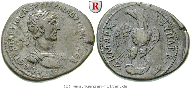 Klicken Sie auf das Bild um es auf Ihrem Rechner zu speichern seleukis-und-pieria-hadrianus-tetradrachme/erom5552.jpg