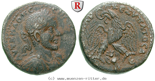 Klicken Sie auf das Bild um es auf Ihrem Rechner zu speichern seleukis-und-pieria-macrinus-tetradrachme/64885.jpg