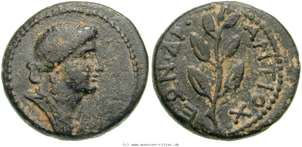 seleukis-und-pieria-nero-bronze/erom5740.jpg