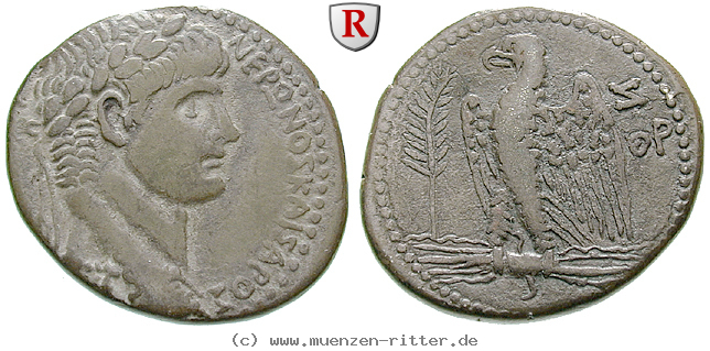 Klicken Sie auf das Bild um es auf Ihrem Rechner zu speichern seleukis-und-pieria-nero-tetradrachme/32510.jpg