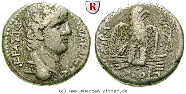 Klicken Sie auf das Bild um es auf Ihrem Rechner zu speichern seleukis-und-pieria-nero-tetradrachme/50424.jpg